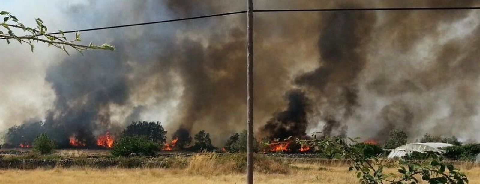 Incendios forestales en la provincia