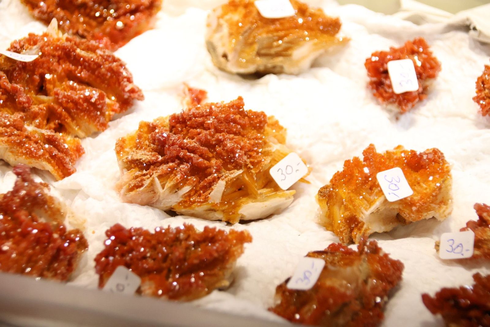 20240517103302-img-0401