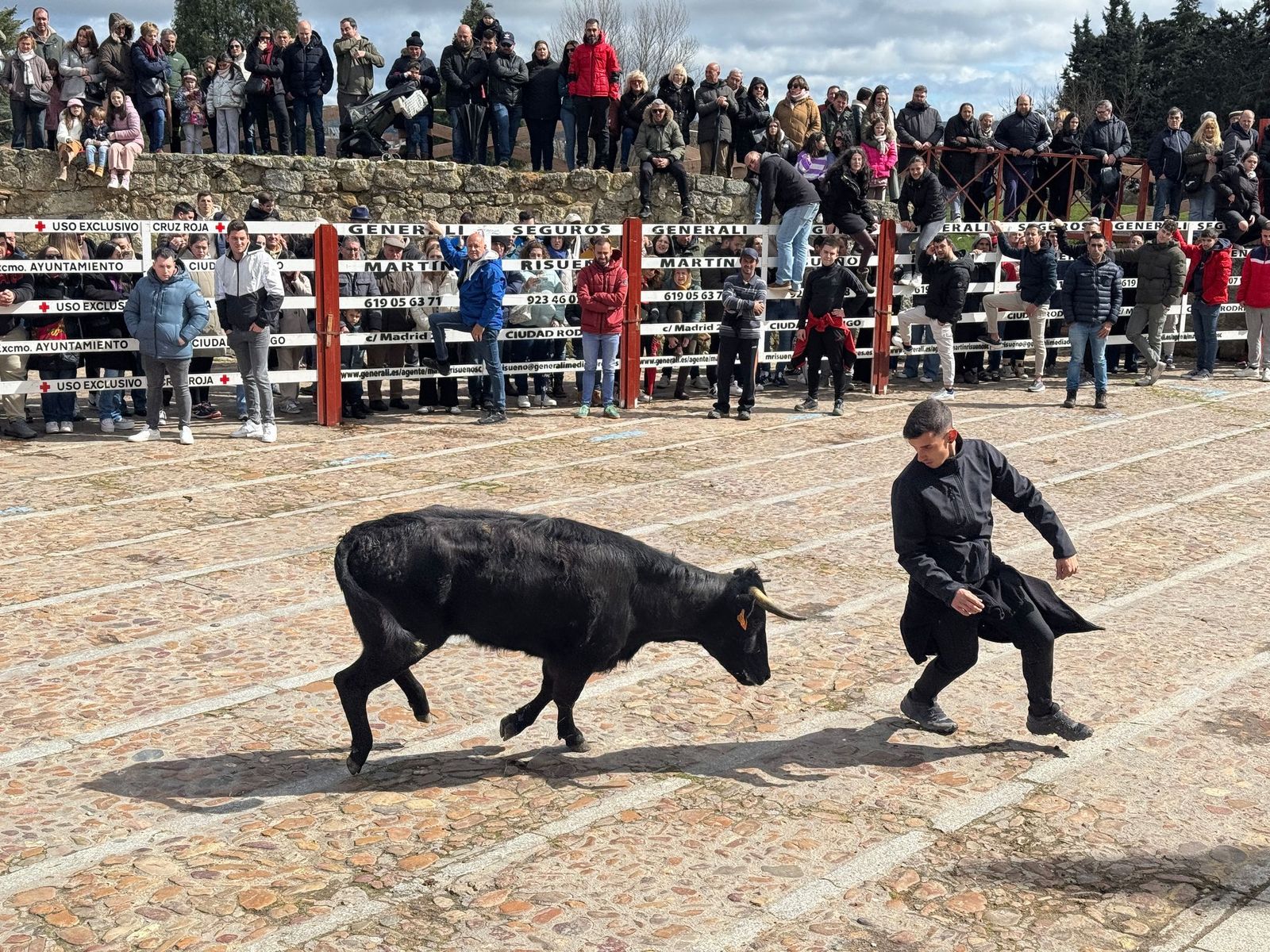 suelta-de-vaquillas-por-el-domingo-de-pinata-en-ciudad-rodrigo-9-de-marzo-de-2025-3