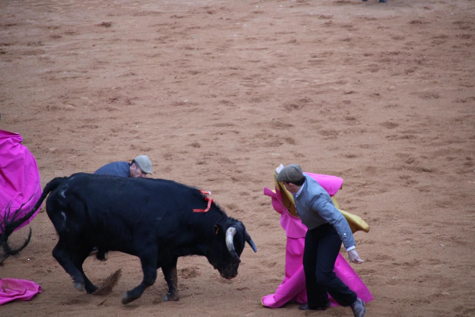 whatsapp-image-2025-03-02-at-18-55-56-1