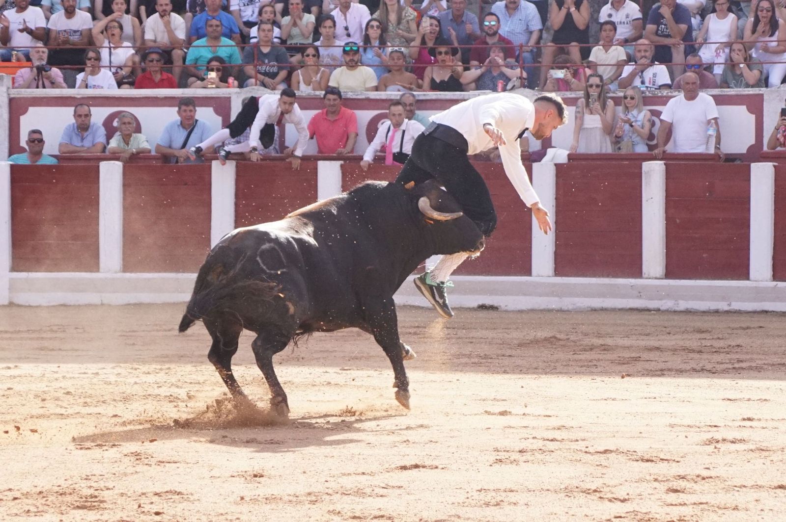 whatsapp-image-2023-07-02-at-22-40-27-1