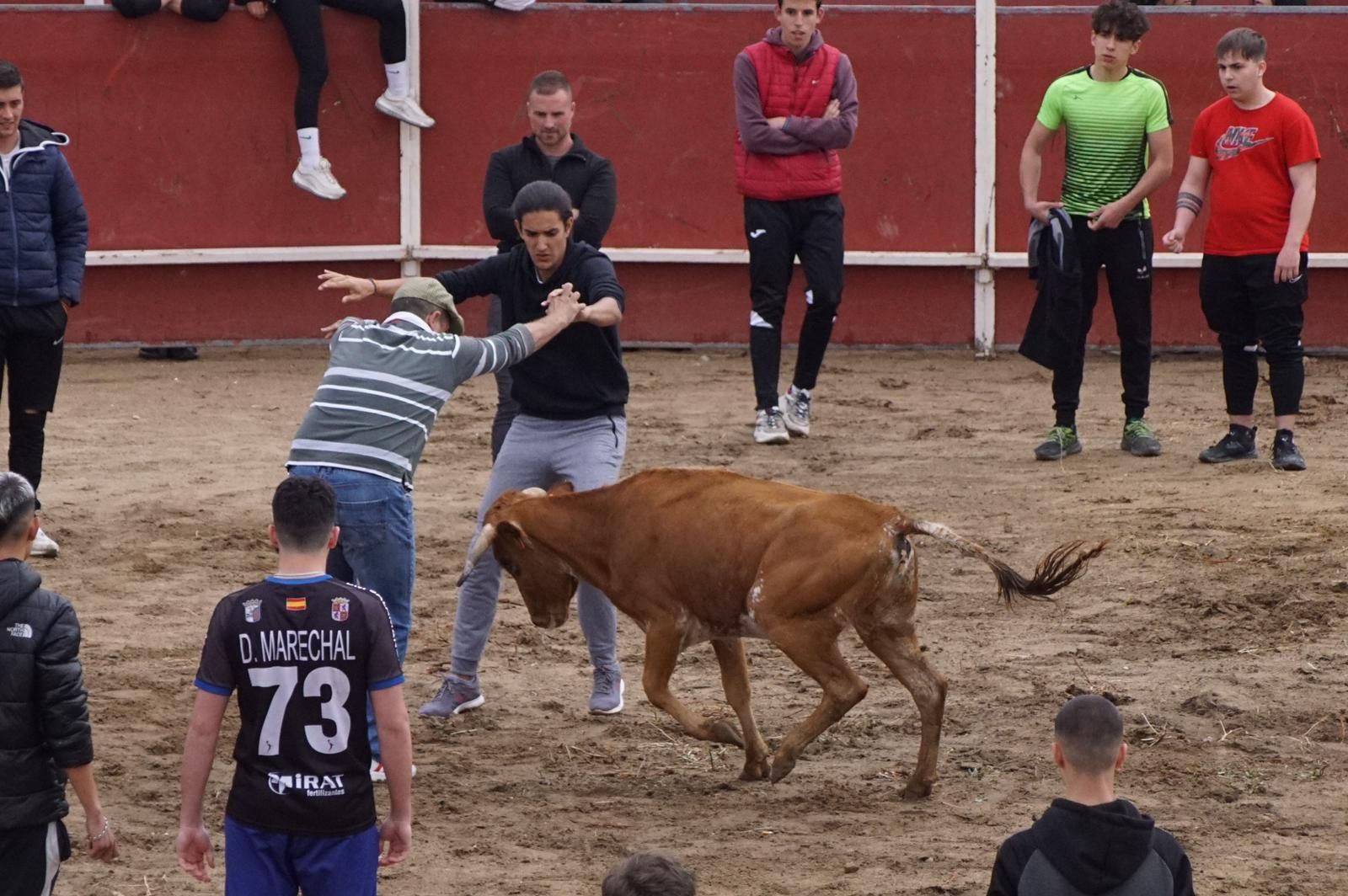 whatsapp-image-2023-05-22-at-20-19-30