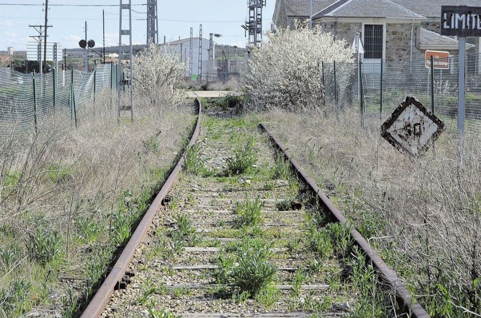 Tren Ruta de la Plata en Zamora. Archivo.