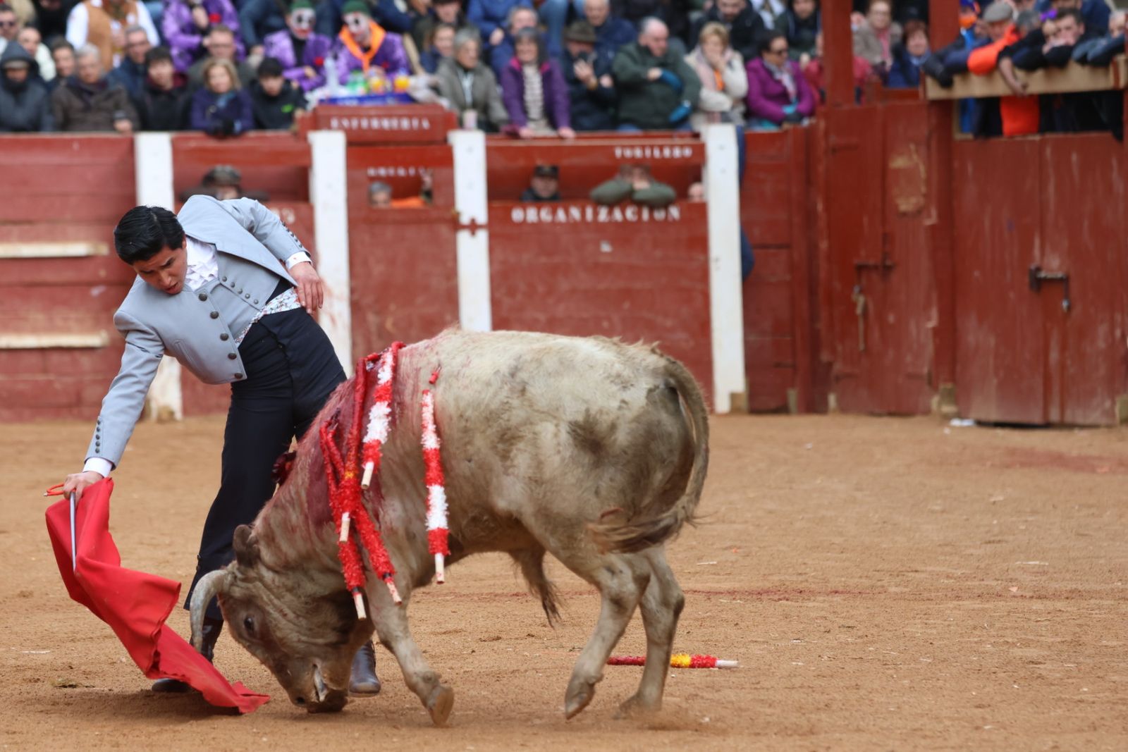 Novillada sin picadores del bolsín taurino y rejones en Ciudad Rodrigo
