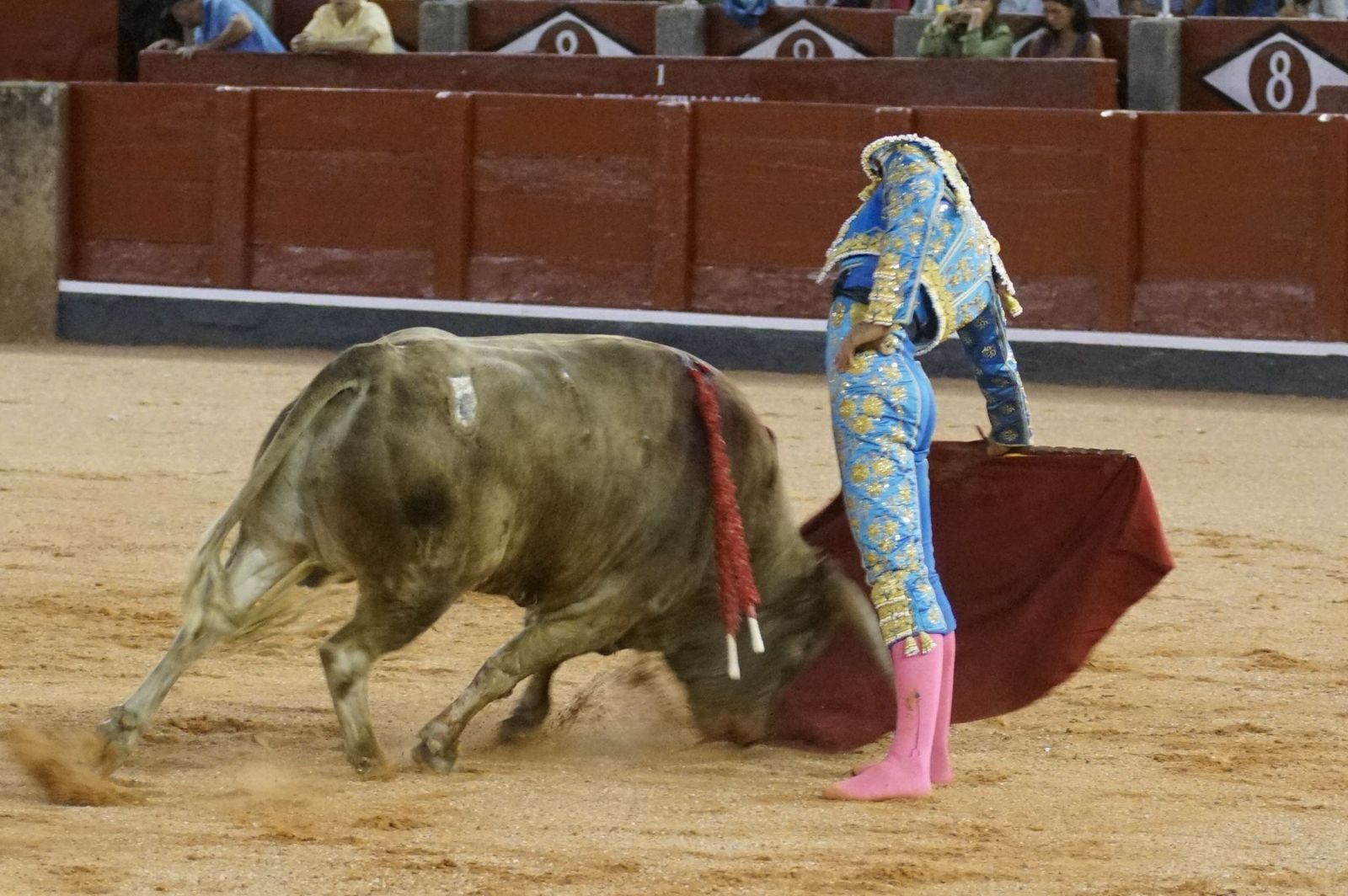Clase práctica con alumnos de la Escuela de Tauromaquia de Salamanca (Diego Mateos, Noel García y Álvaro Rojo con erales de Esteban Isidro)
