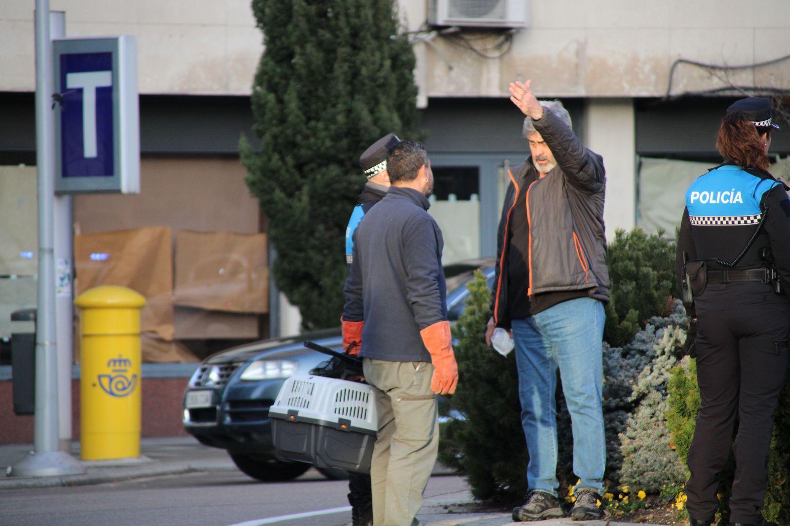 la-policia-local-busca-a-un-vison-refugiado-en-la-fuente-de-la-puerta-de-zamora-fotos-s24h-2