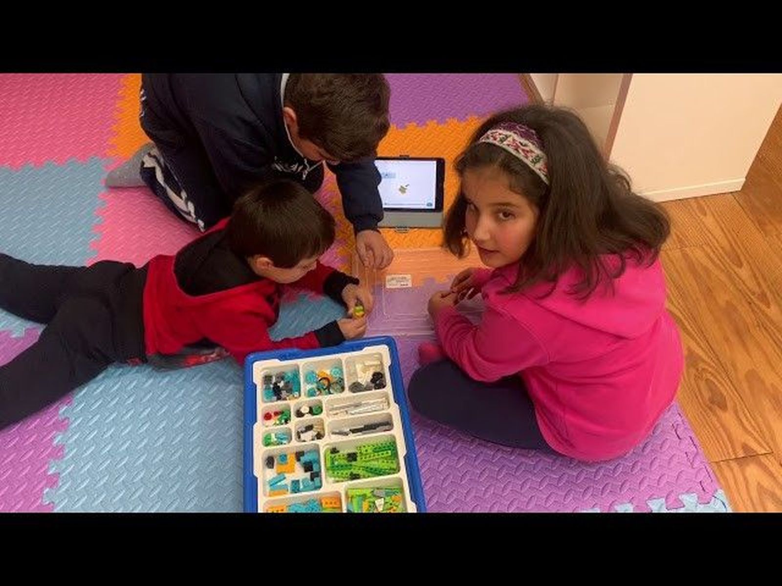 PIE INGENIA PRIMARIA