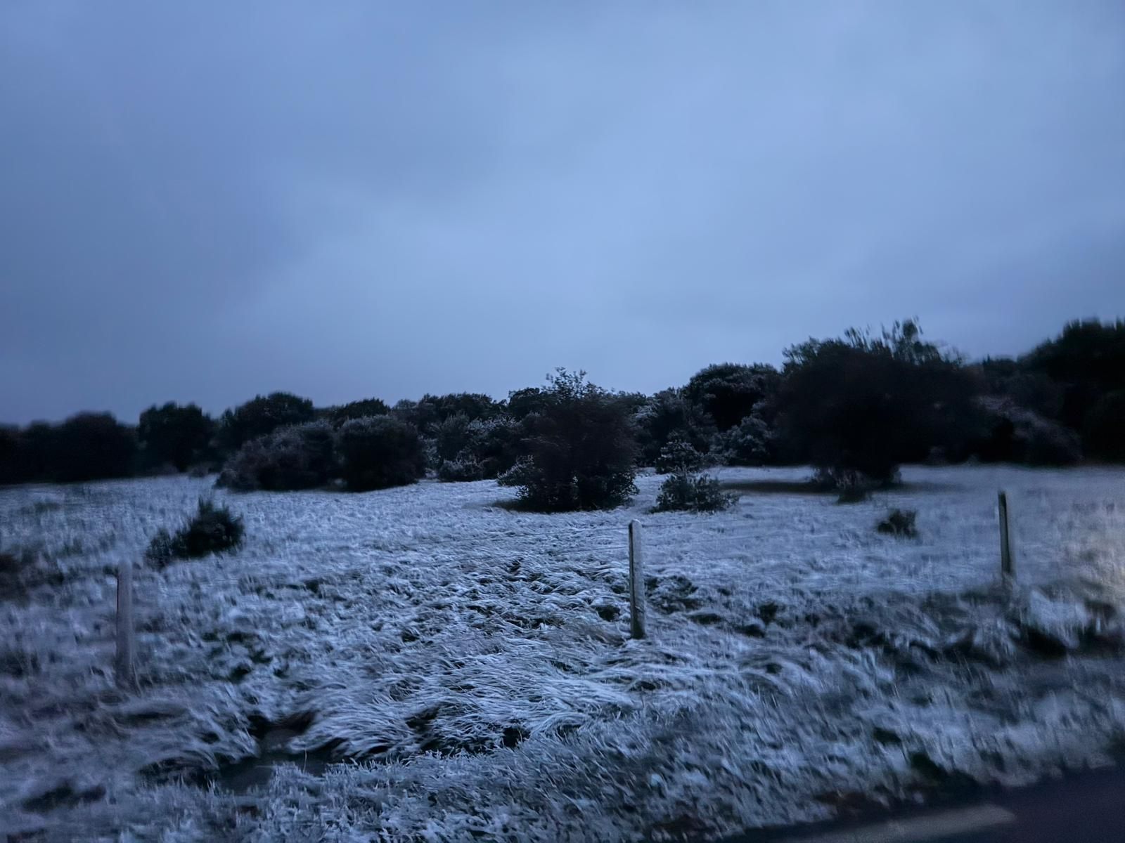 Caen los primeros copos de nieve