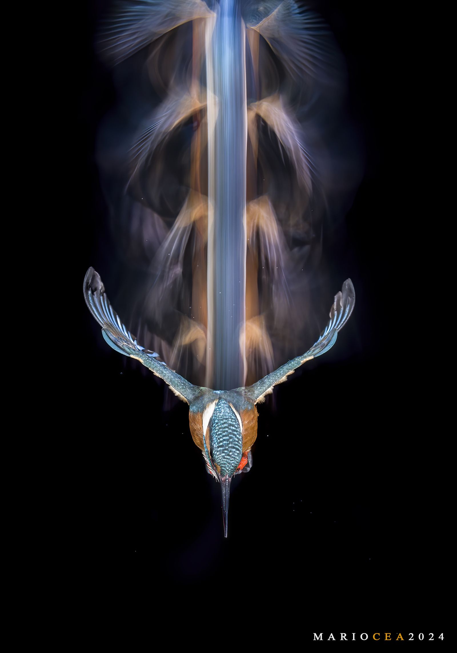 Martín Pescador de Mario Cea