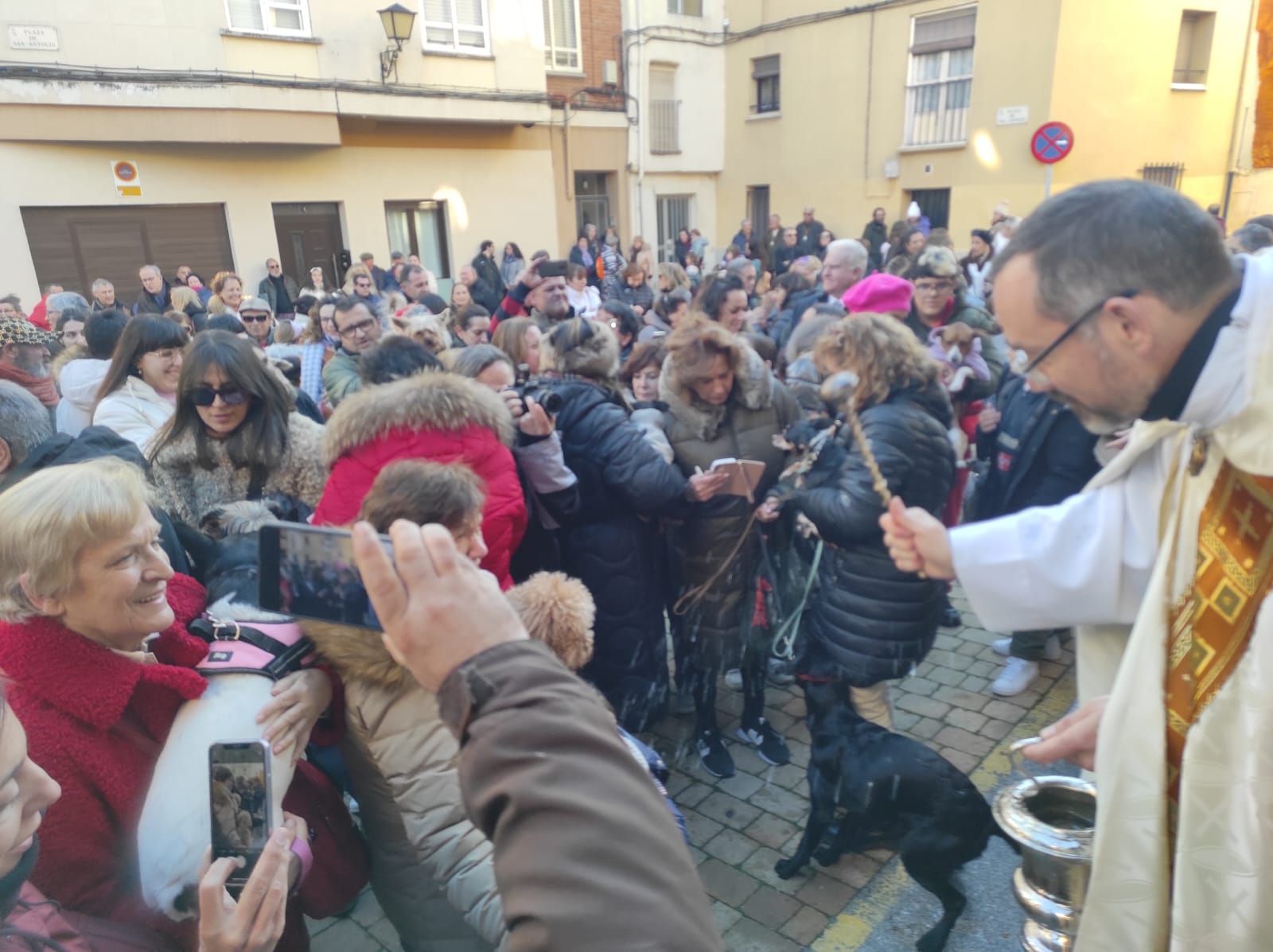 imagen-de-whatsapp-2025-01-18-a-las-17-26-12-bf68fe30