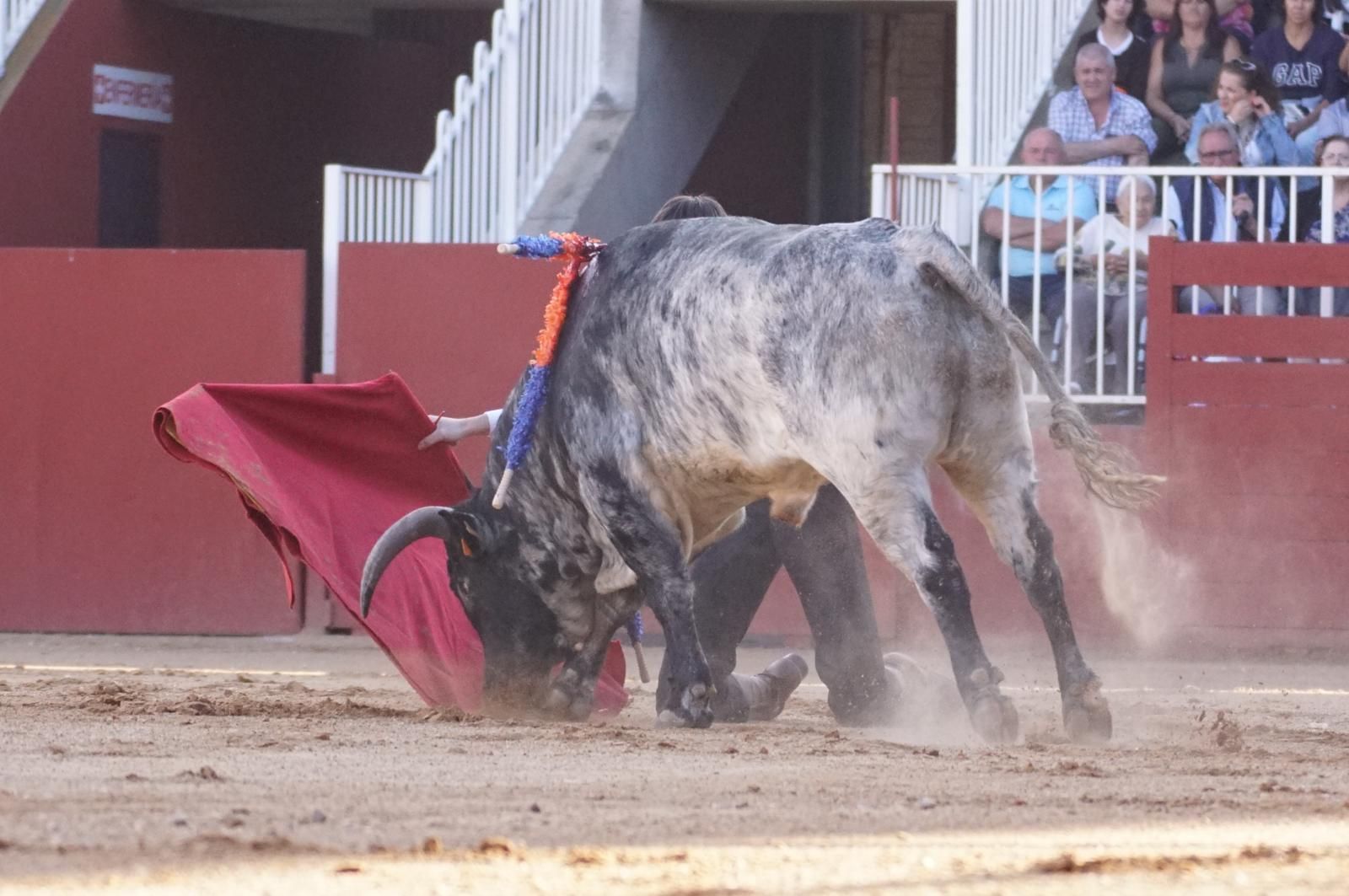 whatsapp-image-2024-09-07-at-20-48-15