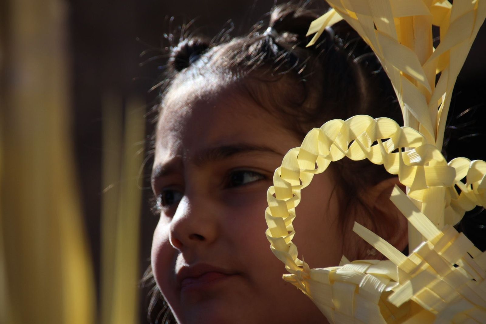 20230402114401-img-9506