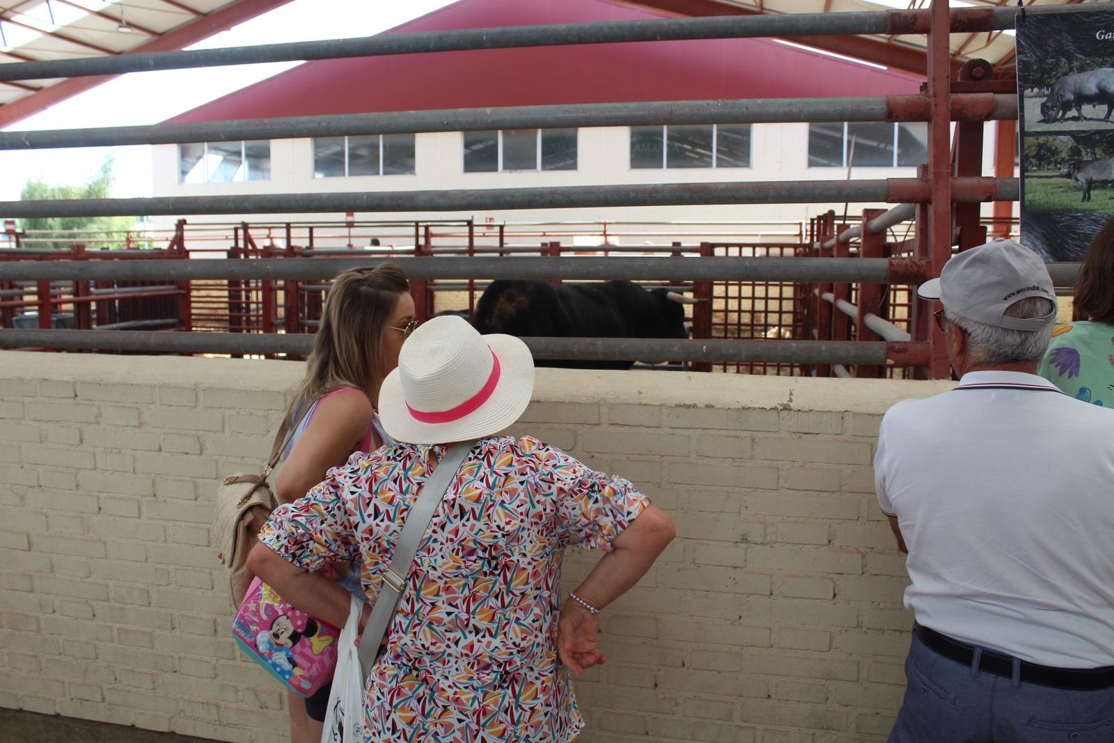 20230904142542-img-7568