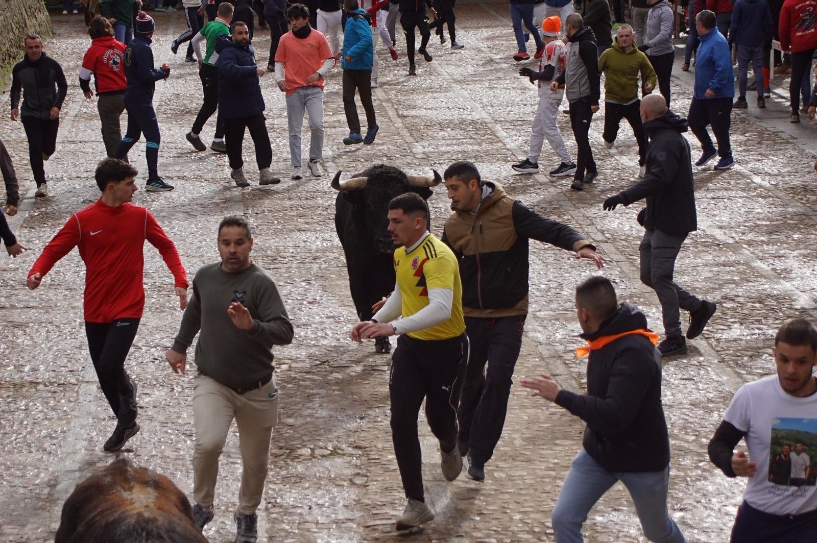 El encierro de Lunes de Carnaval en Ciudad Rodrigo en imágenes
