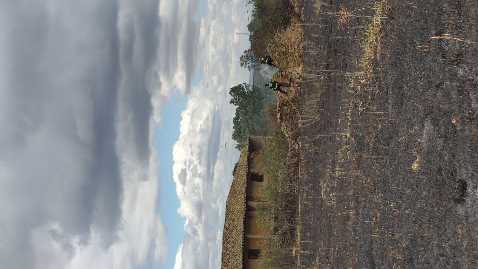 las-desoladoras-imagenes-de-la-sierra-de-la-culebra-tras-el-incendio-4