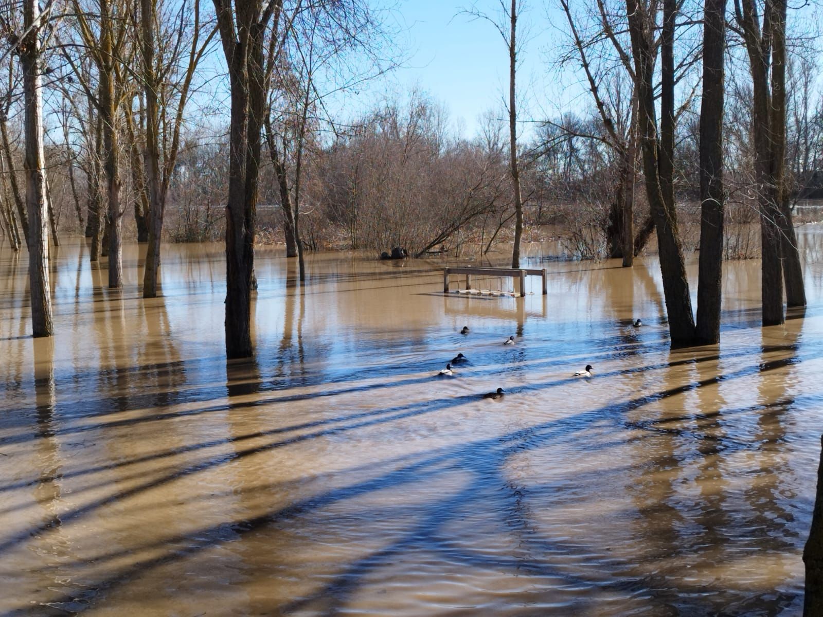 whatsapp-image-2024-01-20-at-13-23-14-3