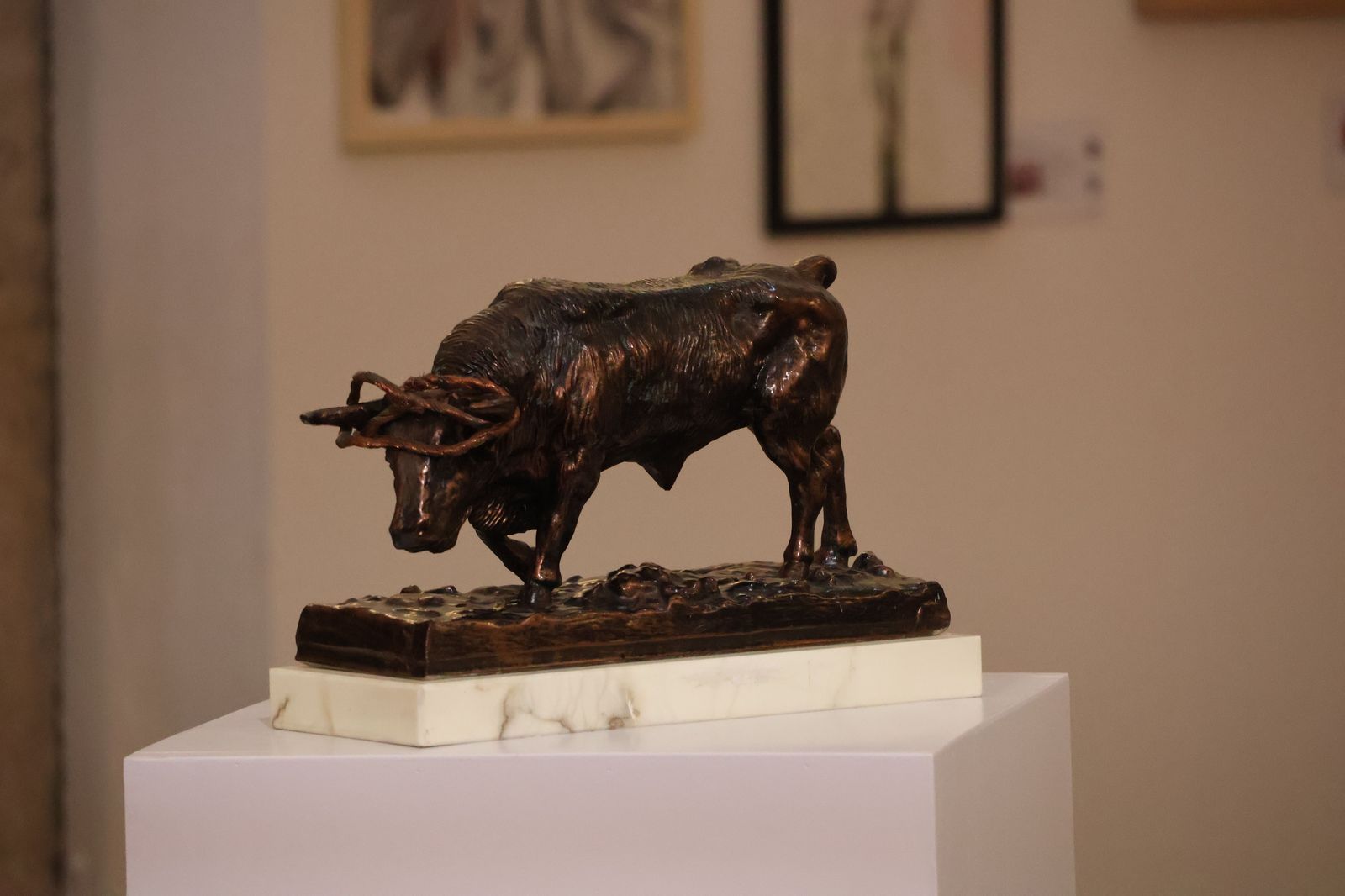 visita-de-la-infanta-elena-a-zamora-17