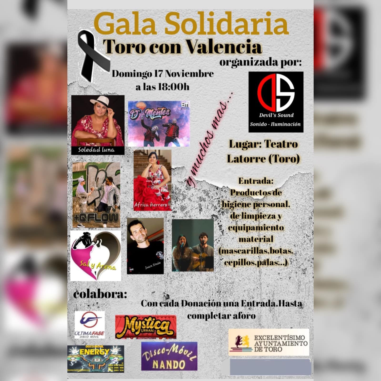 Gala Solidaria Toro