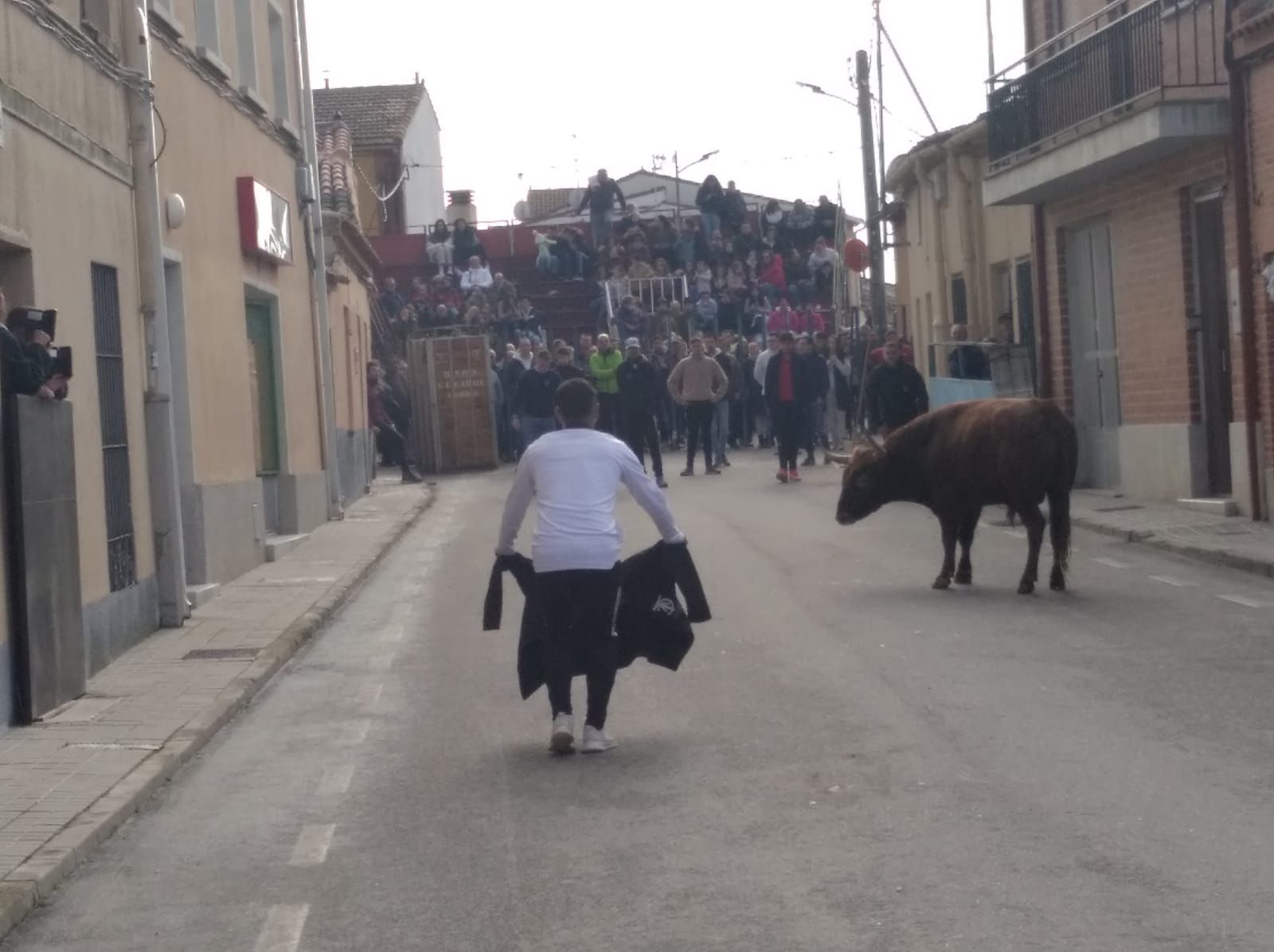 whatsapp-image-2022-12-10-at-13-56-22