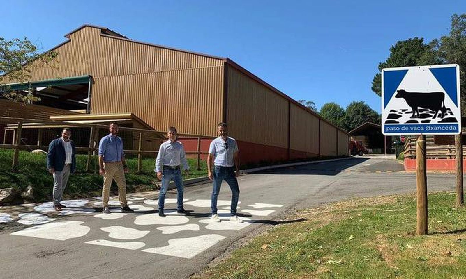 Pasos de vaca FARO DE VIGO