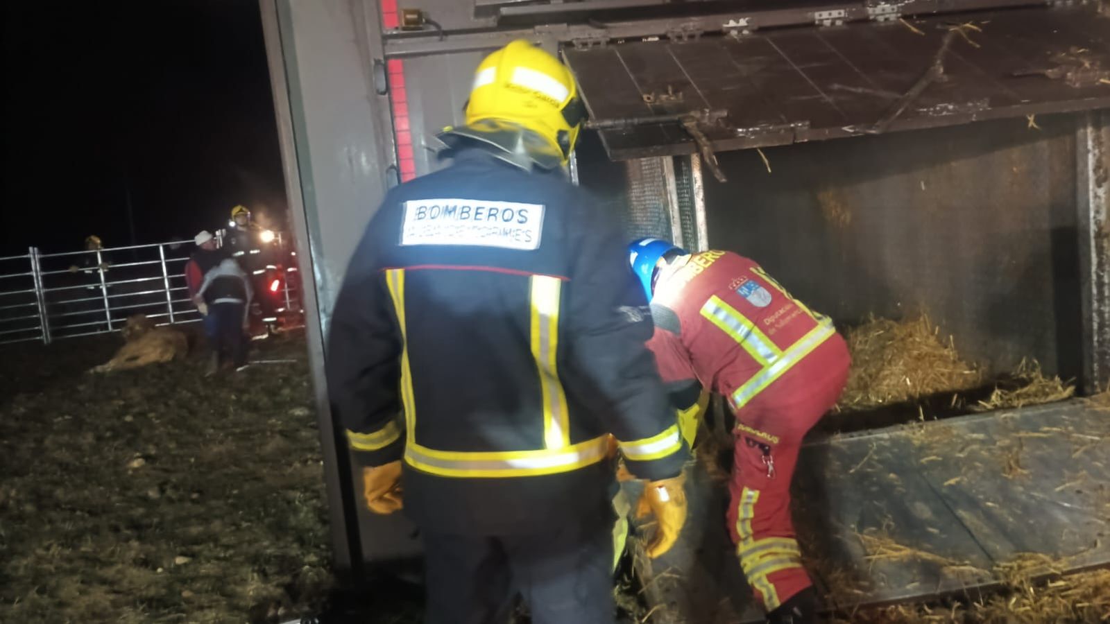 Vuelca un camión cargado de ganado en la SA-114 y deja varios animales muertos