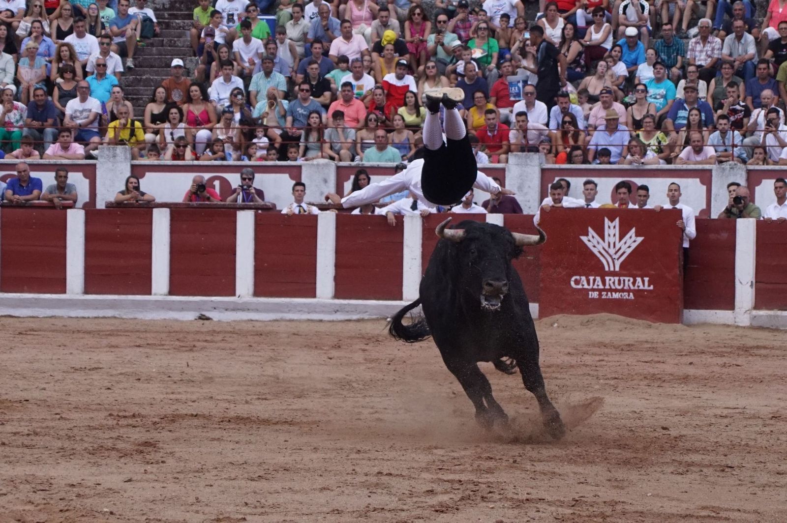 whatsapp-image-2023-07-02-at-22-40-47-2