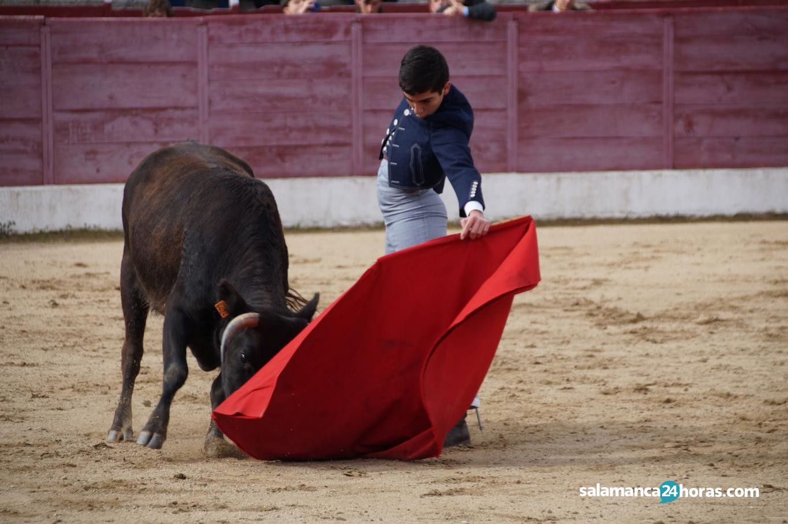 Bolsín Taurino Ledesma (5)