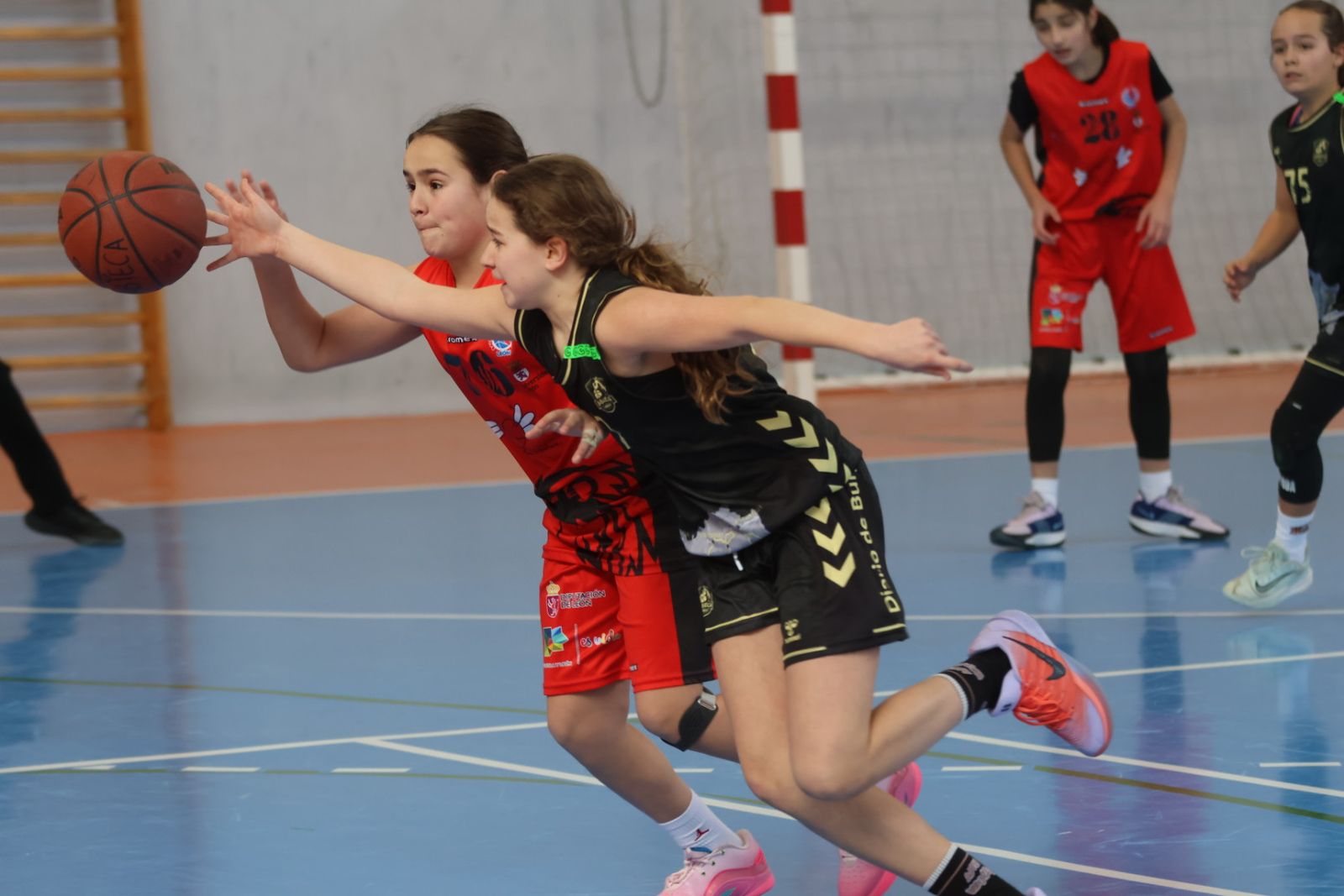 Liga Autonómica de Minibasket
