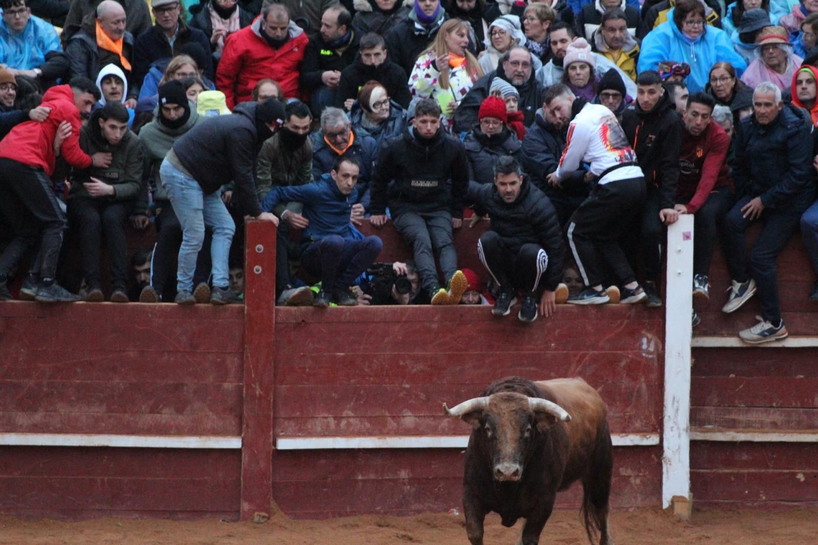 ambiente-y-capea-vespertina-sabado-de-carnaval-en-ciudad-rodrigo-2025-fotos-belen-hurtado-57