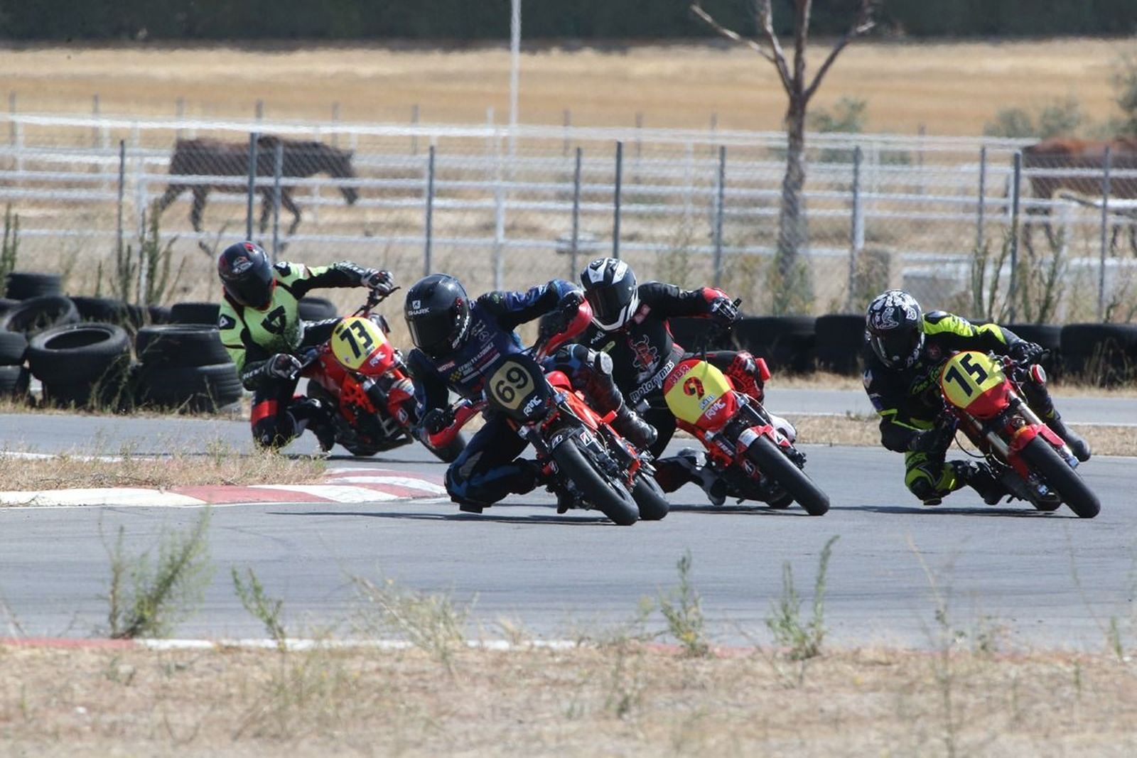 campeonato-de-castilla-y-leo-n-en-el-circuito-430campeonato-de-espan-a-en-el-circuito-430circuito-430a308728e-8ff1-4e63-9617-8b9d82771912