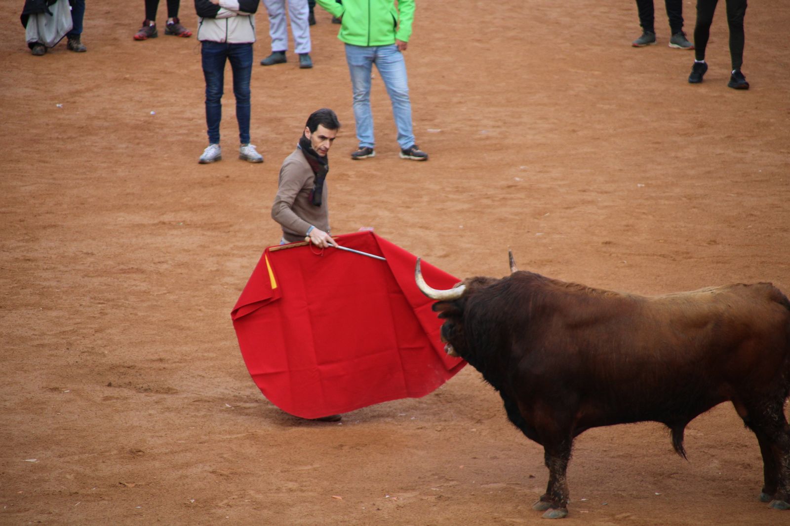 Toro del aguardiente en la mañana de martes del Carnaval del Toro 2026