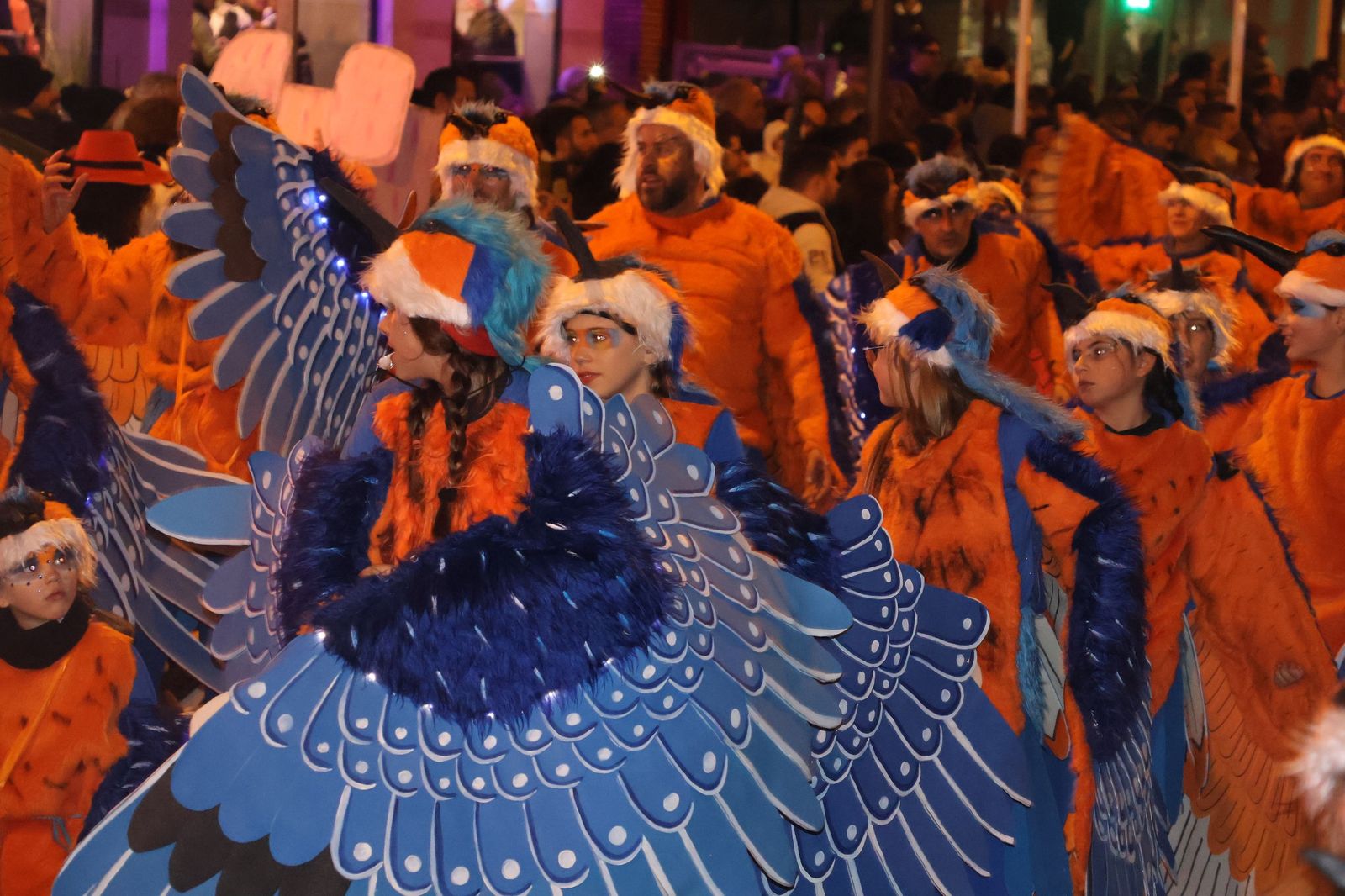 GALERÍA | Disfruta de las imágenes del colorido desfile de Carnaval en Zamora