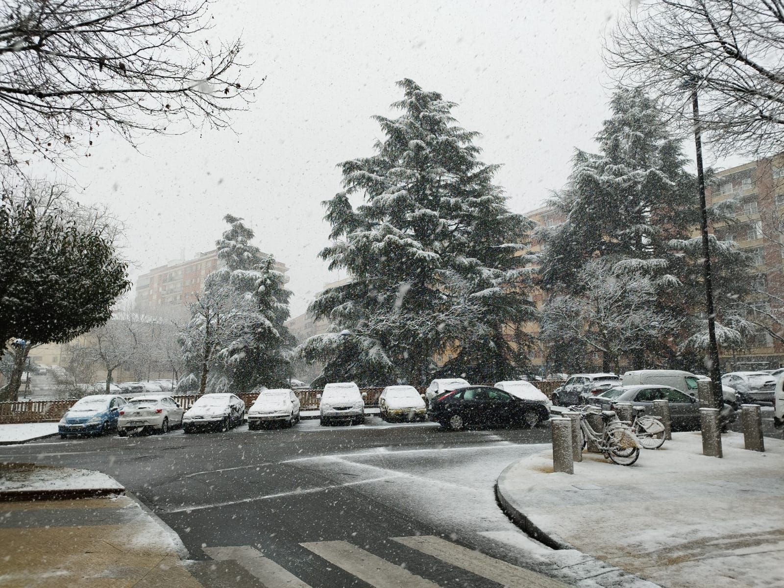 imagen-de-whatsapp-2023-02-23-a-las-10-41-26