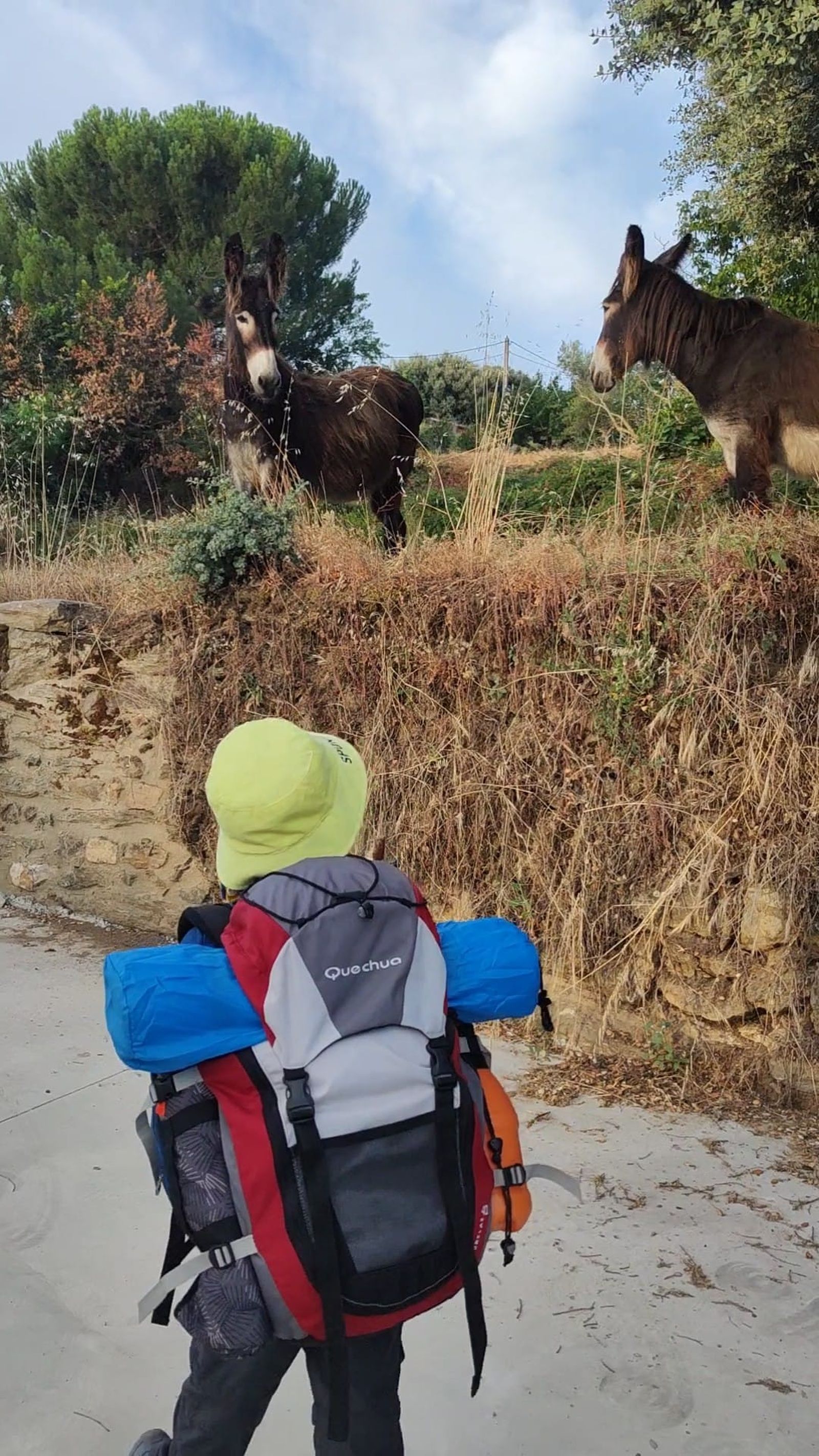 proyecto-camino-de-sayago-con-sergio-aguilar-y-su-hijo-4