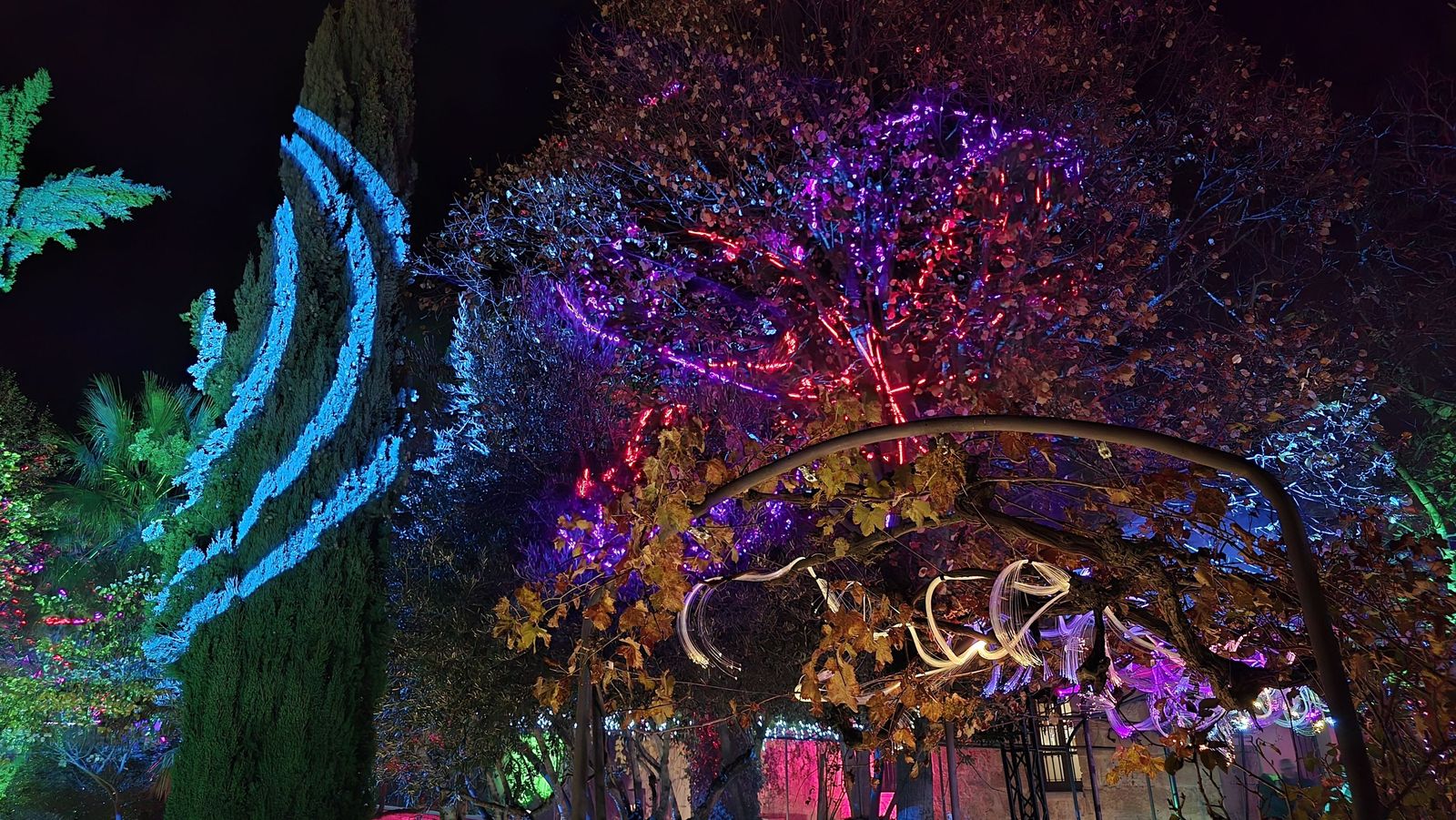 Pase para gráficos del ‘Jardín mágico del Huerto de Calixto y Melibea’
