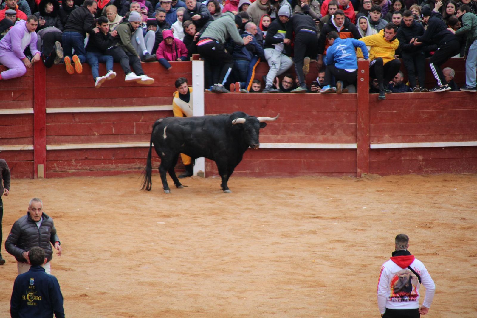 whatsapp-image-2025-03-01-at-13-18-49-3