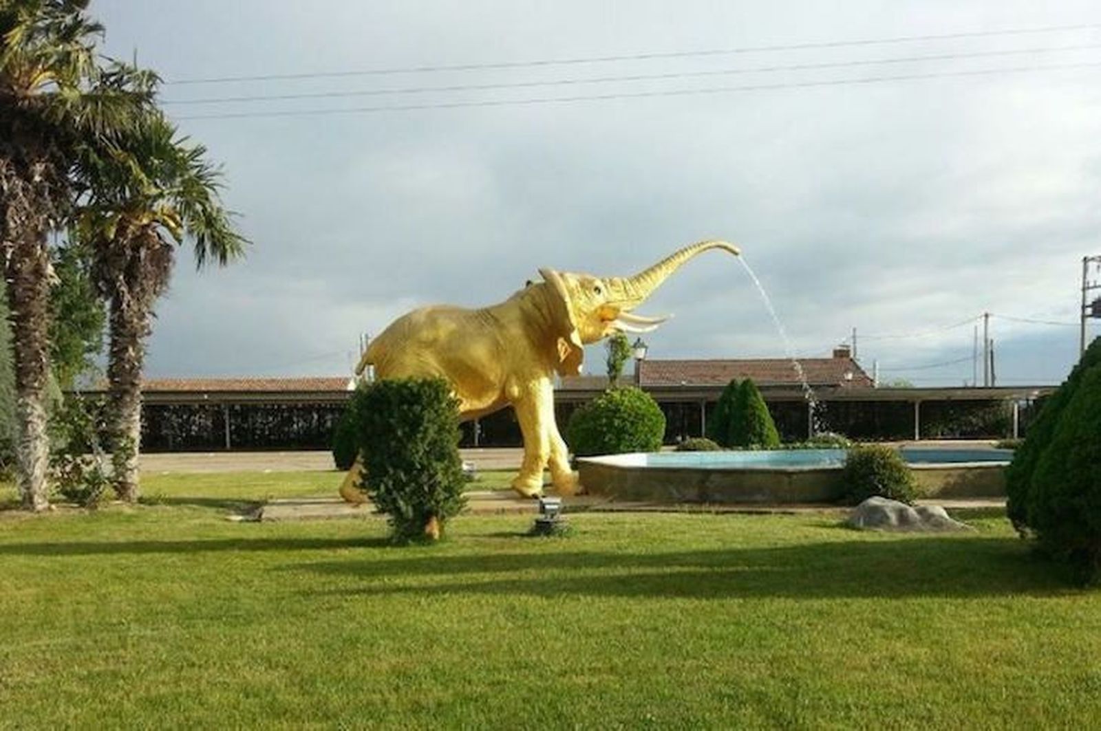 Elefante de Oro