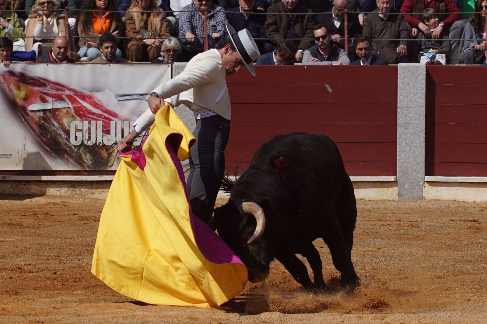Festival taurino solidario por la esclerosis múltiple en Guijuelo