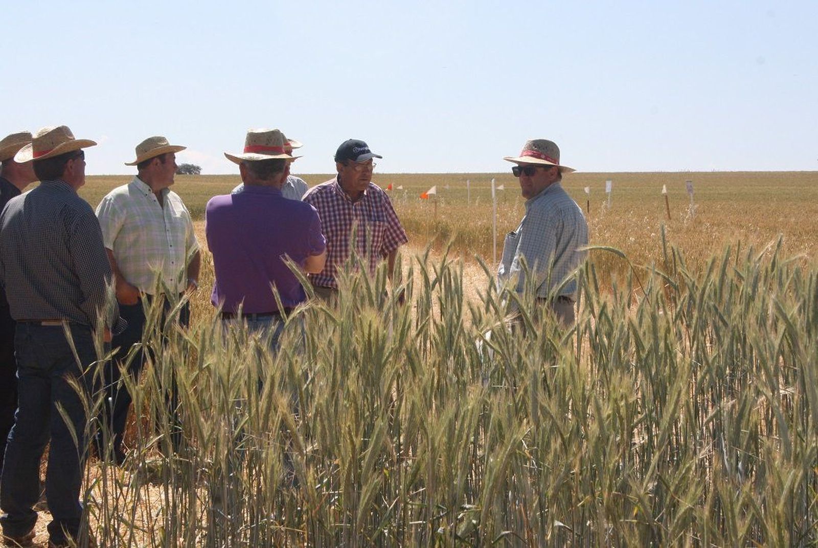 Un proyecto de investigación del Irnasa impulsa la agricultura ecológica