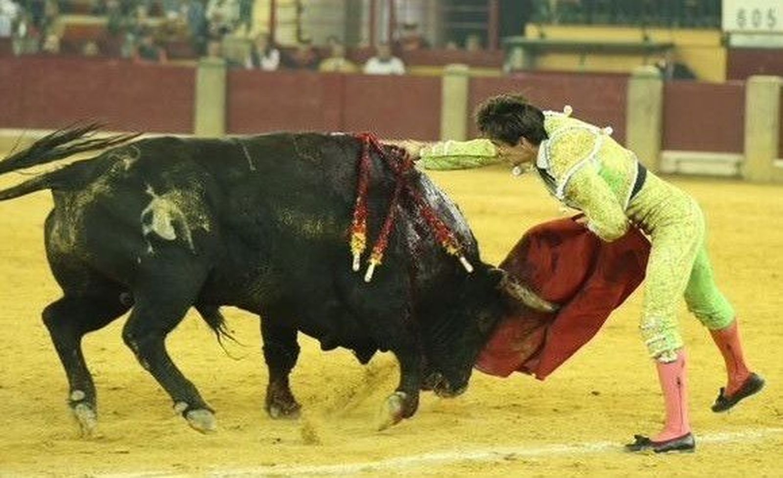 Juan del Álamo, premio a la mejor estocada en la feria de Zaragoza Juan del Álamo, premio a la mejor estocada en la feria de Zaragoza