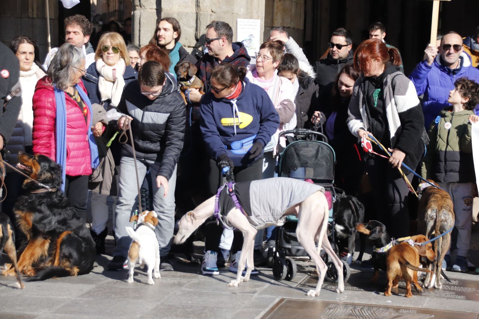 20230205121725-mg-5717