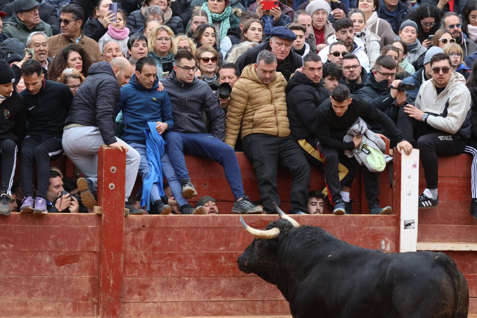 Mañana de capea de lunes en el Carnaval del Toro 2026