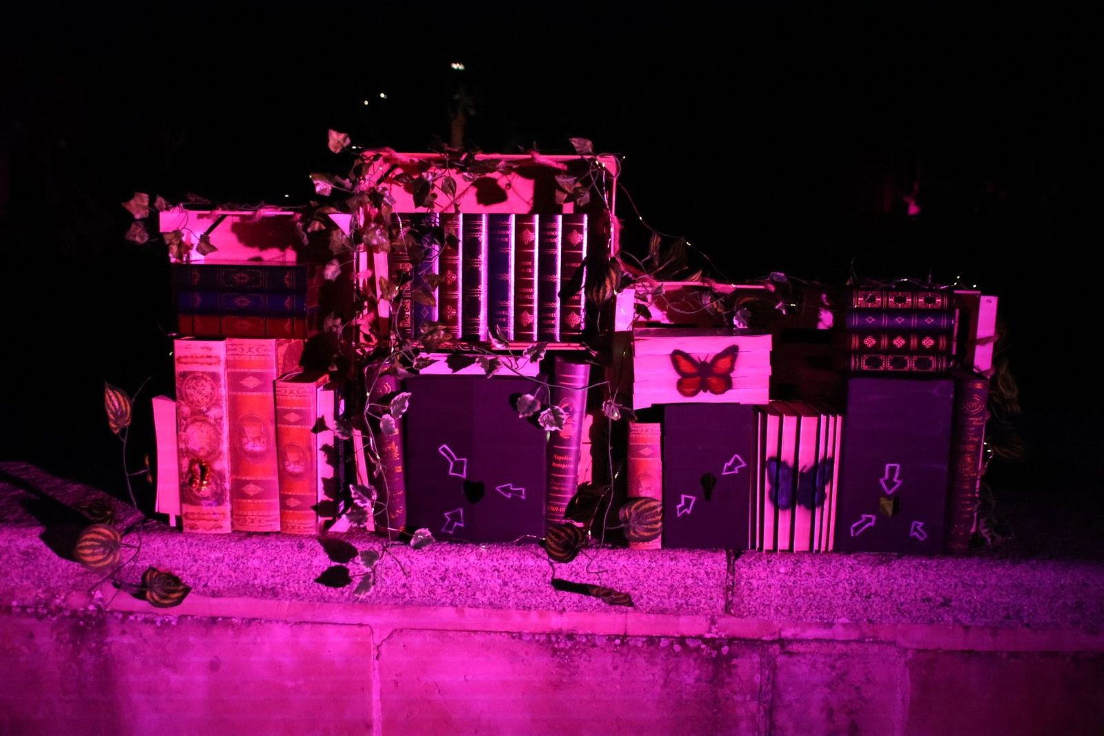 20240613214100-img-7552