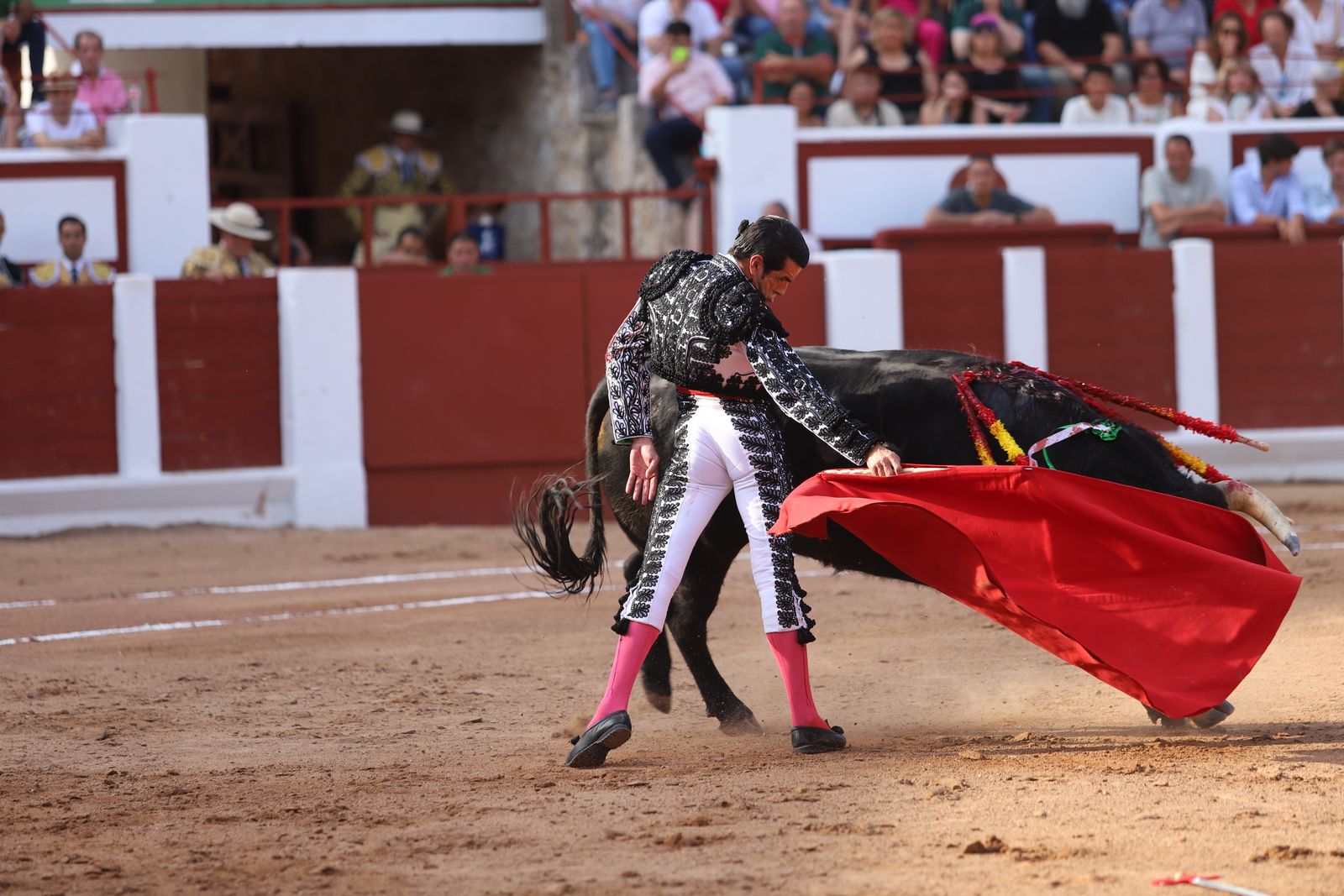 Corrida Feria Taurina San Pedro 2025. FOTO María Lorenzo (6).jpeg