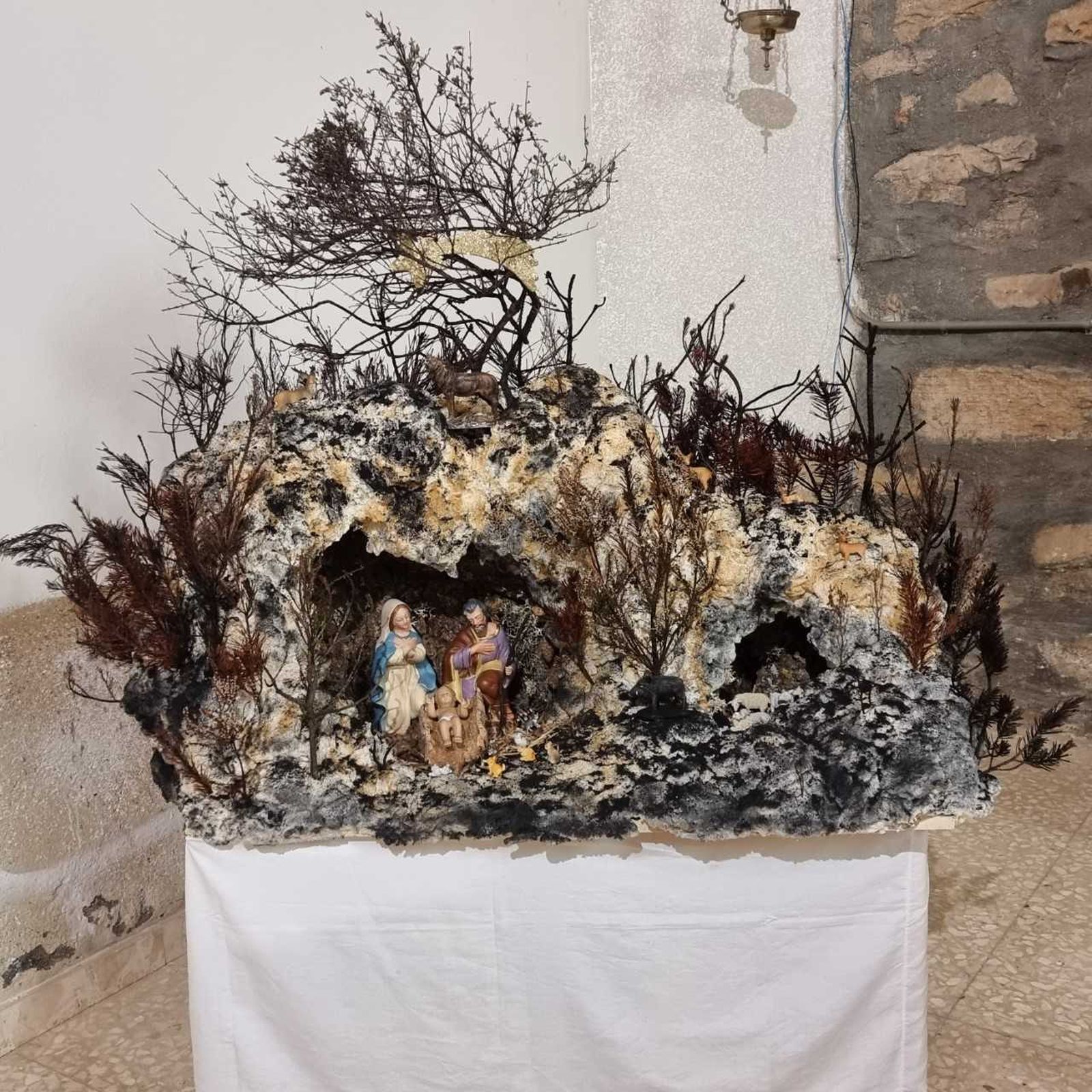 belen-de-boya-en-la-zona-de-los-incendios-3