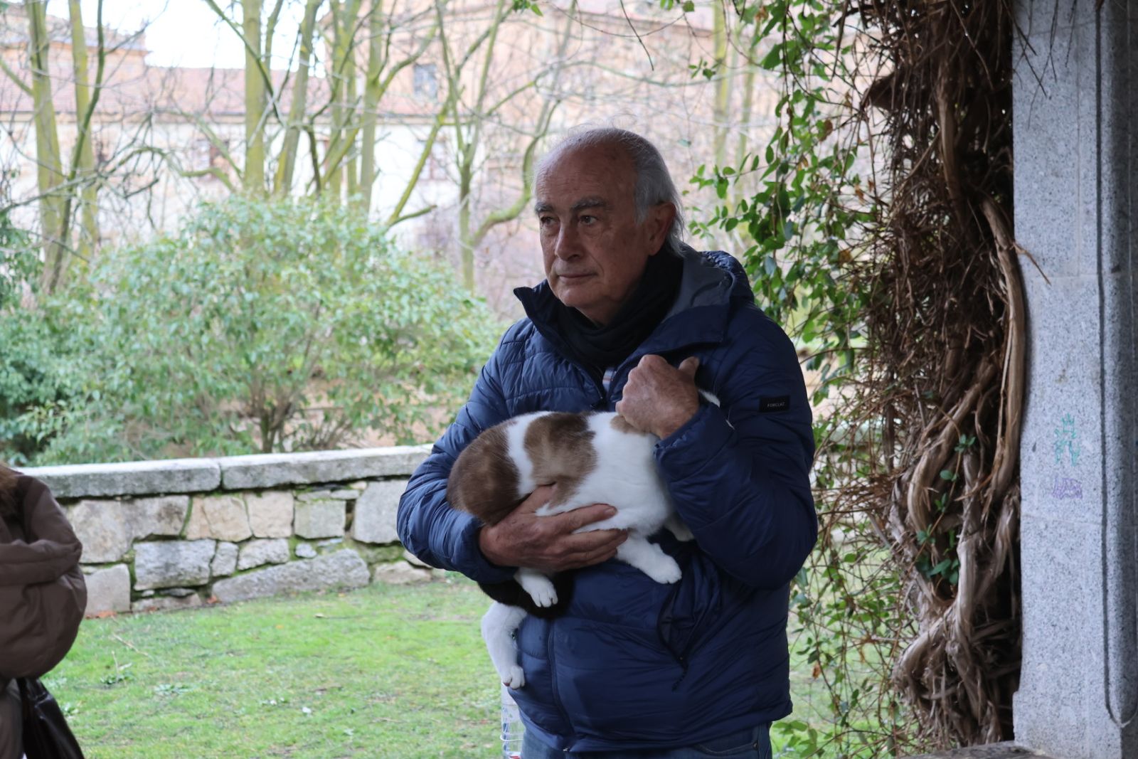 Bendición de los animales por San Antón en el Campo de San Francisco
