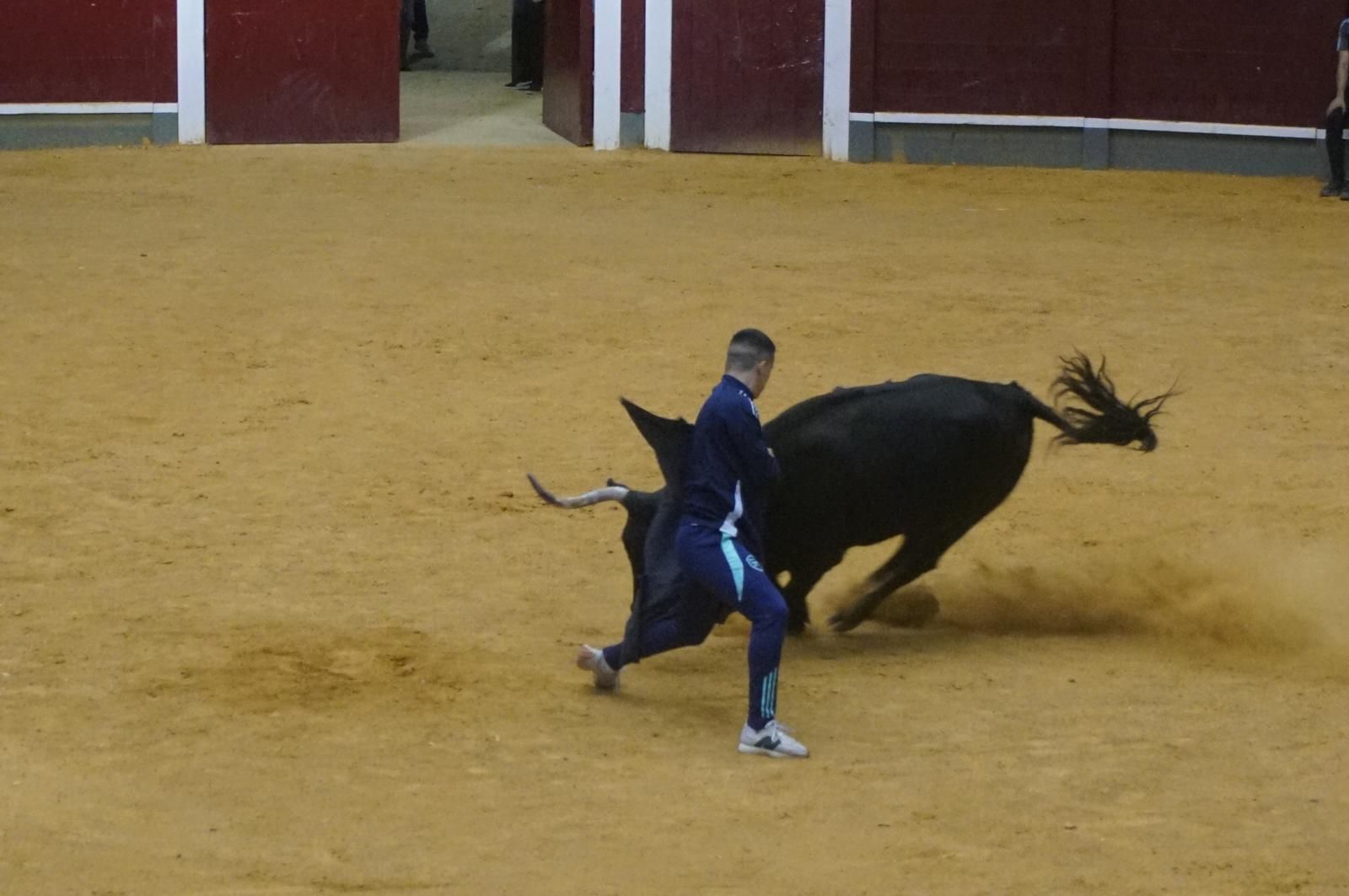 Toro del cajón y capea en Alba de Tormes