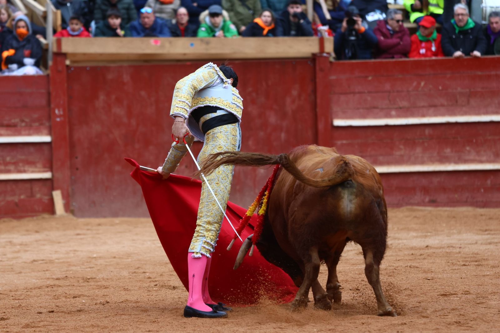 Novillada con picadores de lunes en el Carnaval del Toro de Ciudad Rodrigo 2026