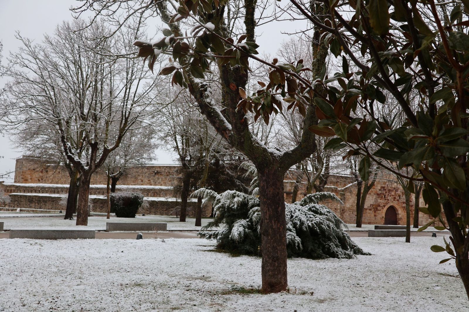 GALERÍA | Nieve en Zamora capital este miércoles