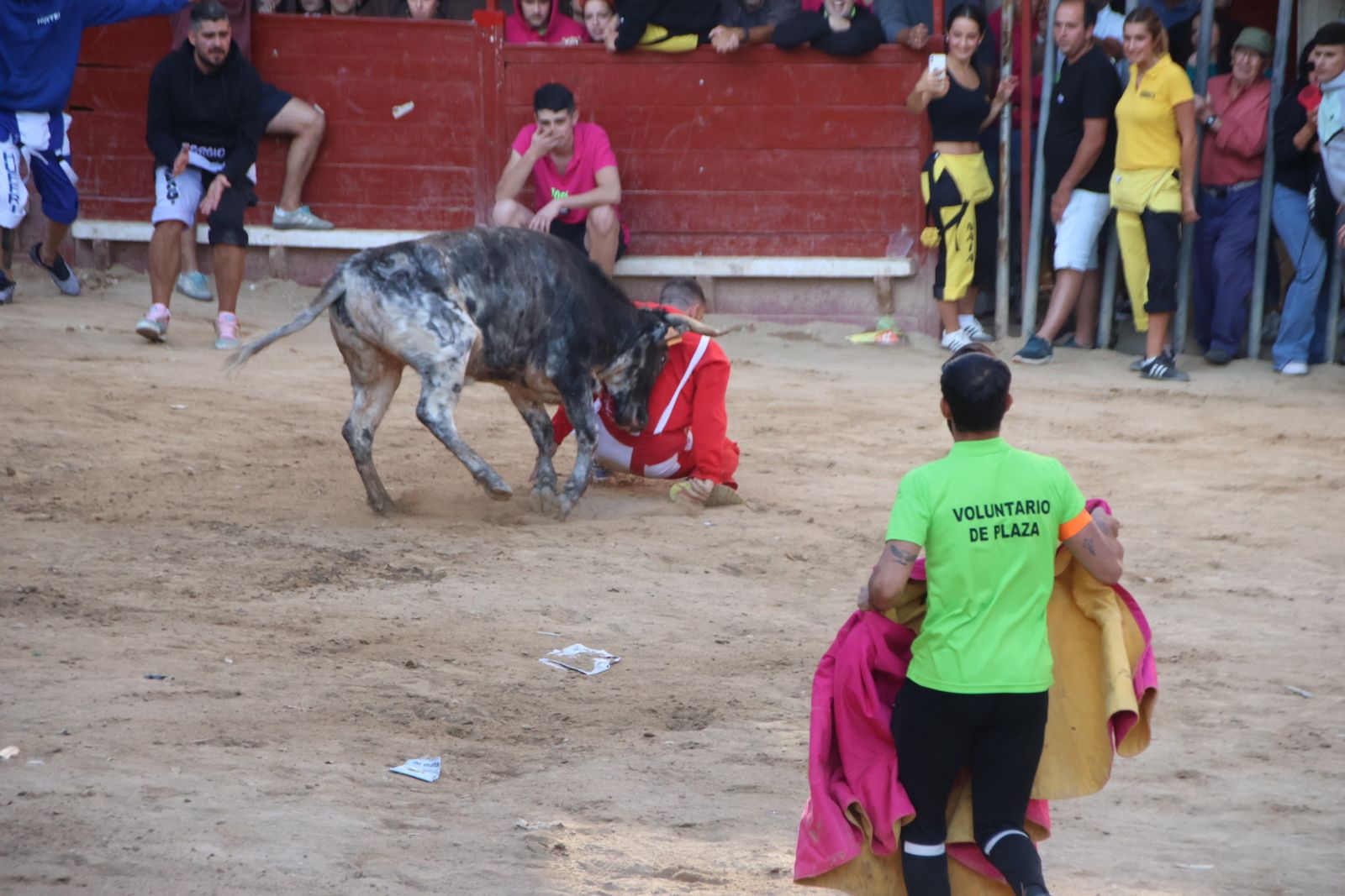 Encierro en Aldeadávila
